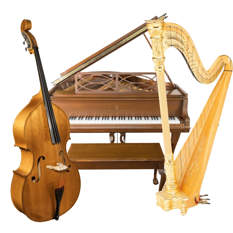Instruments de Musique